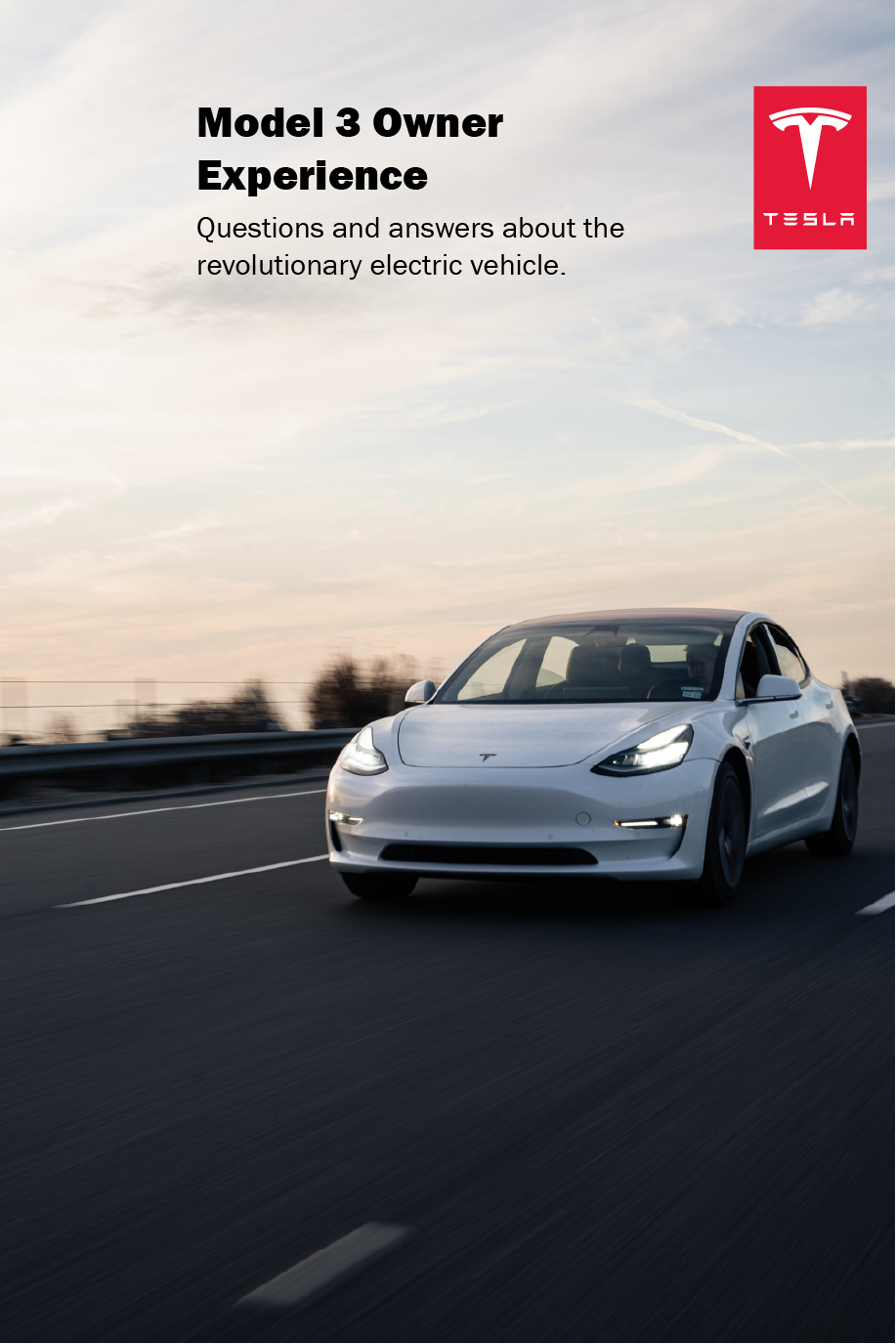 Cover for Tesla handbook
